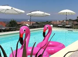 Domus Langhe B&B