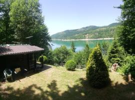 Zlatar Lake - cottage: Kokin Brod şehrinde bir kiralık sahil evi