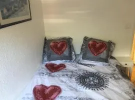 appartement les deux alpes