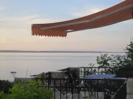 Vlasta