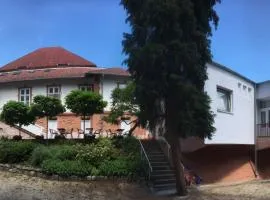 Kiss Villa
