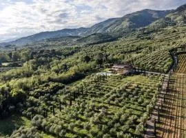 Ampio appartamento completamente rinnovato con vista e piscina