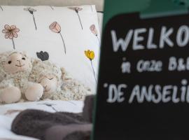 De Anselier, B&B din Ansen