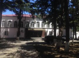 Alioni Hotel, hotel v destinaci Tbilisi City