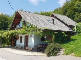 Zidanica Meglič - Vineyard cottage Meglič