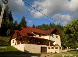 Pensiunea agroturistică Casa Brădeana