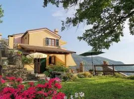 Elsa House