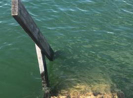 Ferienresidenz Seegarten Andrea - Seezugang und Schwimmbad