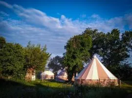 Cool Under Canvas