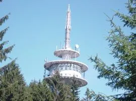 Haus am Wald