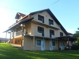 Studio apartman Trdina