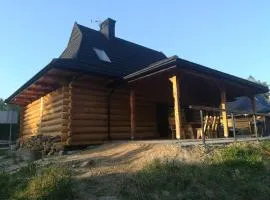 POD BRZĘCZĄCYMI TRZMIELAMI