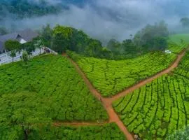 Tea Harvester