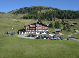 Almhotel Fichtenheim, hotel in Berg im Drautal