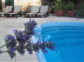 Lavender Hill Hvar Villa - pool, jacuzzi,sauna,BBQ，斯塔里格勒的SPA 飯店