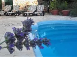 Lavender Hill Hvar Villa - pool, jacuzzi,sauna,BBQ