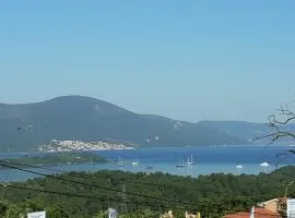 Pocanic apartmani