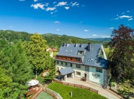 Centrum Green Hill Business & SPA, hotel ve Visle
