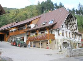 Vogthof Wohnung Schneckenhus, cheap hotel in Lautenbach