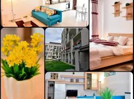 FLH - Apartament Central Silva