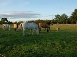 The Little Flock Farm