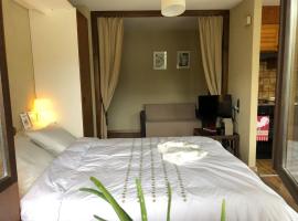 Charmant Studio, 2 adultes , Centre de Nendaz, hotel en Nendaz