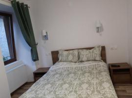 Sara House, hotel u gradu Bistrica