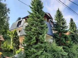 Guesthouse Hill