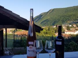 Wine Boutique Complex ,,Hrisimov", feriebolig i Musomishta