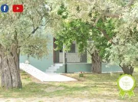 Villa "Elaeda Evdokia"