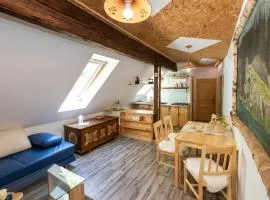 Apartma waterfall Slap