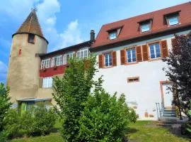 Les Gîtes de la tour, appartement "le Vignoble"