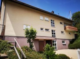 Appartment Leo, apartment in Schonwald im Schwarzwald
