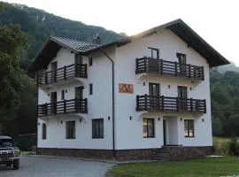 Pensiunea Vila Flavis