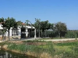 Casa Rous-Riumar 1