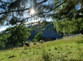 Tschetsch Hütte