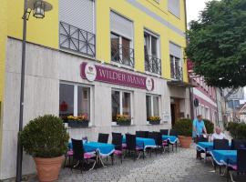 Hotel-Gasthof Wilder Mann, hotel v destinaci Pfreimd