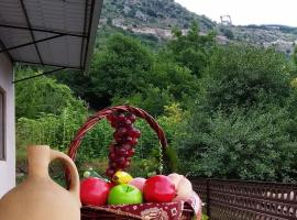 Syunyats guest house, Hotel in Halidzor