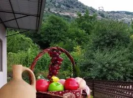 Syunyats guest house