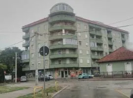 Apartment Branicevska 1