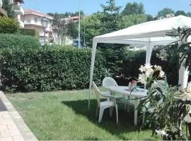 1 La fisarmonica del Conero