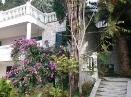 BG Villa Apartment XL, hotel s jacuzzi v destinaci Sutomore