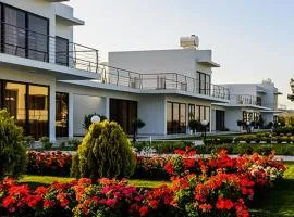 Cosmopolis Multi-Venue