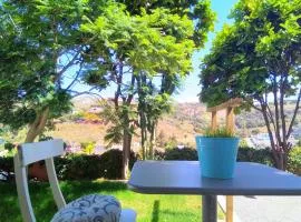 APARTAMENTO LEMMON TREE