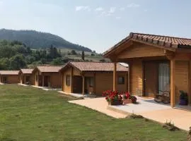 Satia Berri