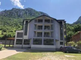 Pensiunea Platinum