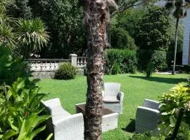Apartments Vojin