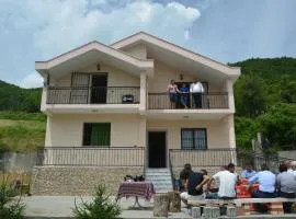 Bujtina Merturi