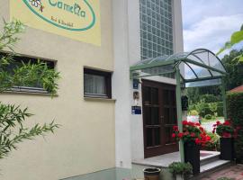 Haus Camelia, B&B in Bad Tatzmannsdorf