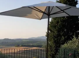 La casa Amaca